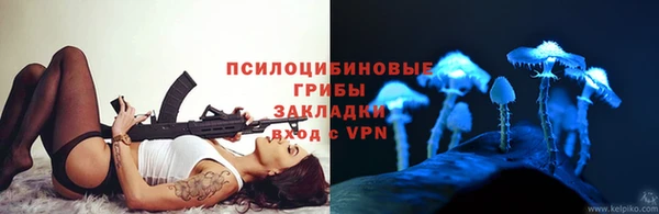 ALPHA-PVP Богородицк